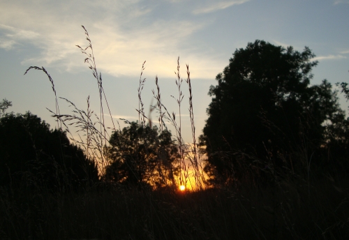 DSC09606.JPG