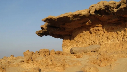 Max Cortesi Rock Garden Duqm – Duqm, Oman 24.jpg