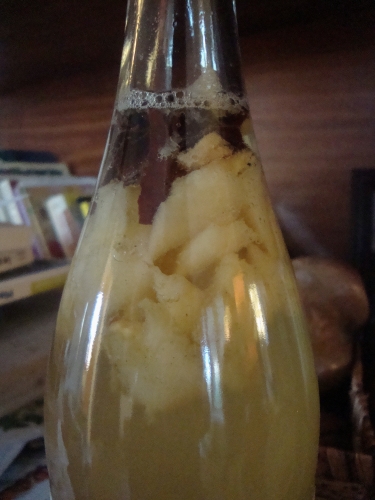 Kombucha poire gingembre cannelle.jpg