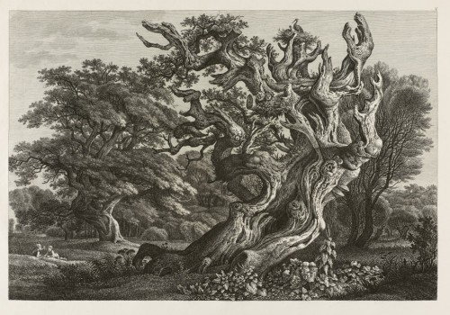 carl wilhem kobe Fantastic Large Oak Tree with a Stork’s Nest1.jpg
