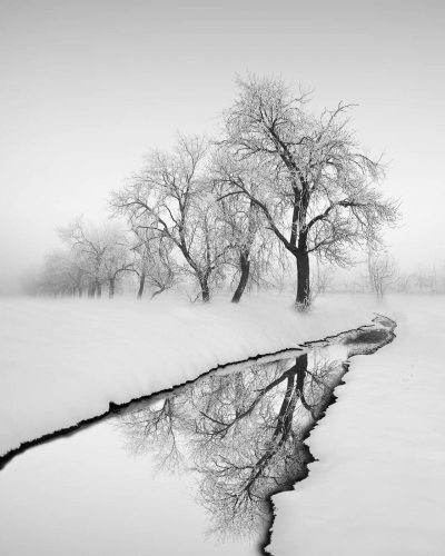 kruno kupresak photography.jpg