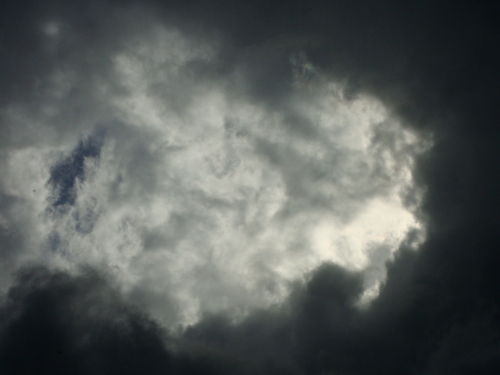 DSC08909.JPG