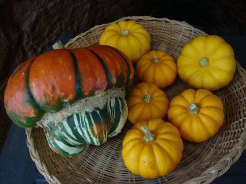 DSC07590.JPG