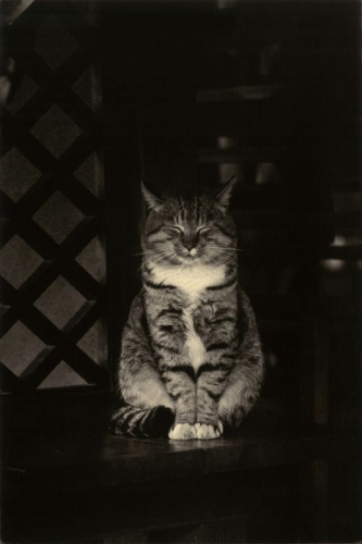 Masao Yamamoto_n.jpg