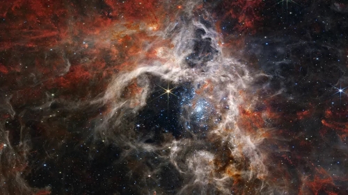 James Webb The Tarantula Nebula.jpg