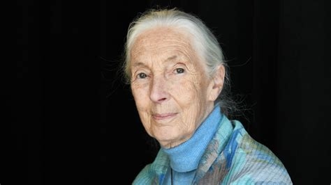 Jane Goodall.jpg