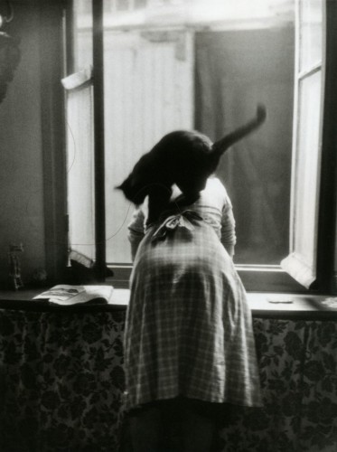willy ronis.jpg