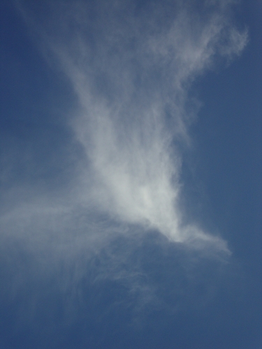 DSC00049.JPG