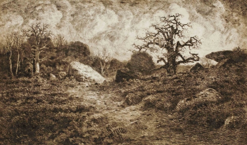 EUGENE VIALA (1859-1913) , Paysage aux arbres.jpg