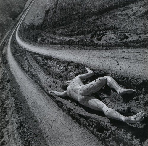 arthur tress  road kill  San Luis Obispo, California, 1997.jpg