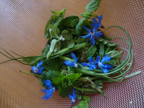 DSC06380.JPG