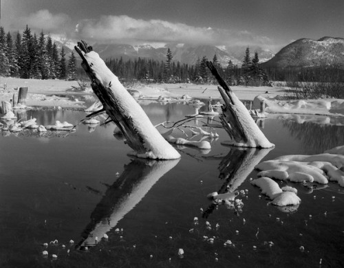 eric rose Banff, Alberta.  Vermillion Lakes Sentries.jpg