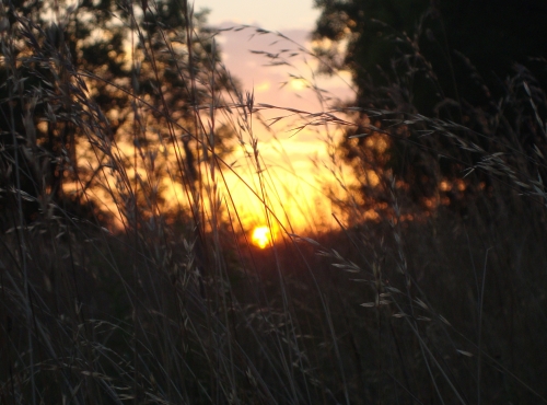 DSC09617.JPG