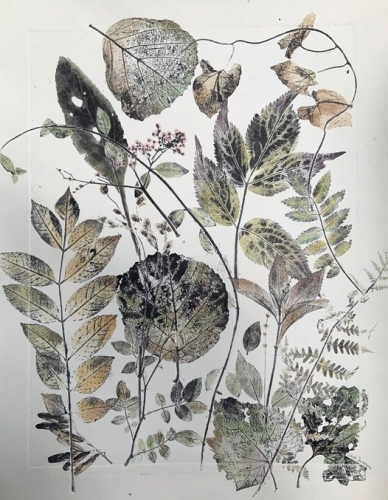 Sarah Jameson  n.jpg