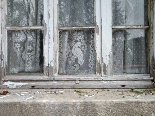 Anne-Lise Navarro L'oiseau sage_n.jpg