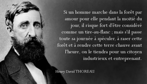 Henri Thoreau.jpg