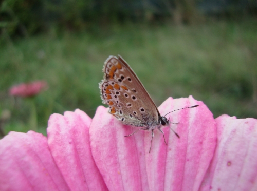 DSC00744.JPG