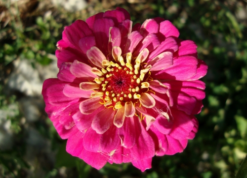 DSC07117.JPG
