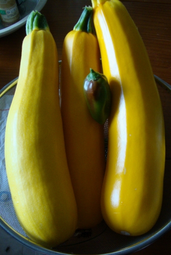 DSC00525.JPG
