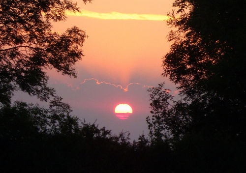 DSC09715.JPG
