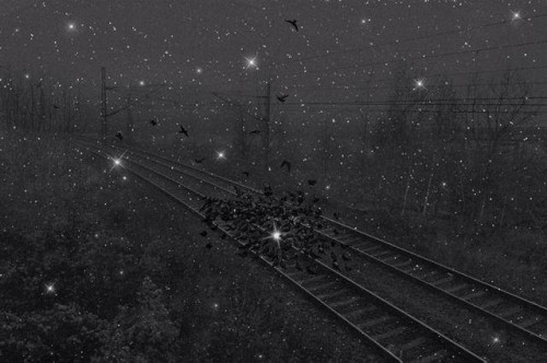 Grace Kim constellations, 2012.jpg