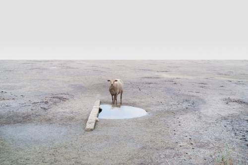 petros koublis_03-1000x664.jpg