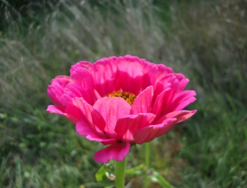 DSC07606.JPG