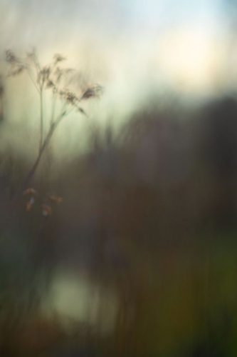 Patrick Wojtasik_n.jpg