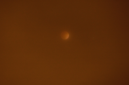 Troi Anderson IMAGINARY LANDSCAPE North west american coast .jpg