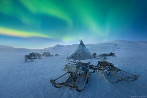 Daniel Kordan 84_n.jpg