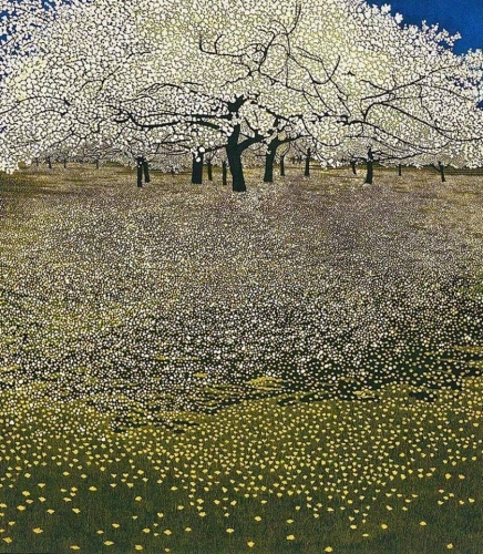 Phil Greenwood Blossom.jpg