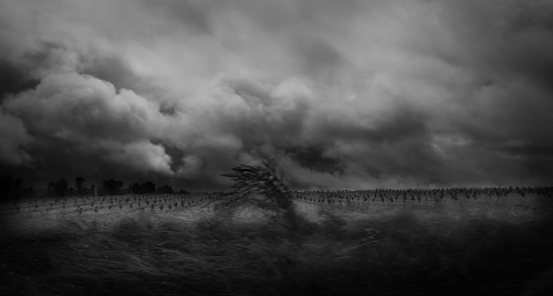 Édith Landau - 1.jpg