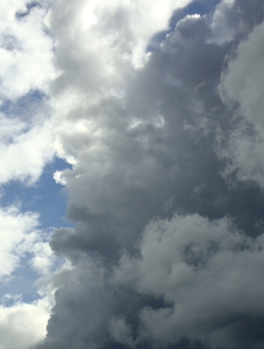 DSC08887.JPG