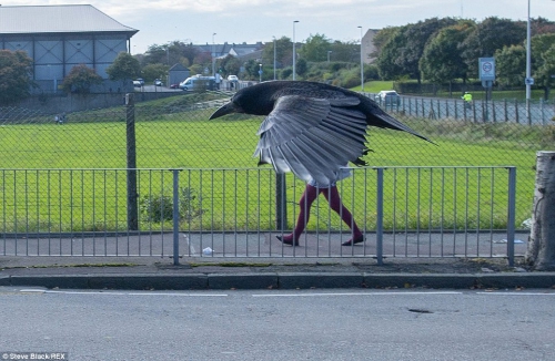 Steve Black Crow woman in Aberdeen.jpg