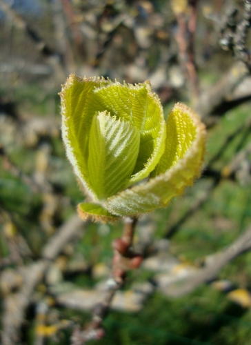 DSC05947.JPG