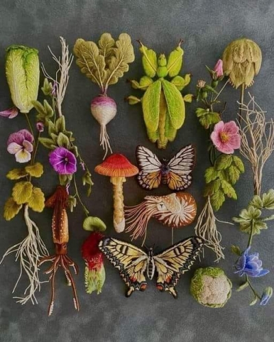 Pieni Sieni broderies botaniques _n.jpg