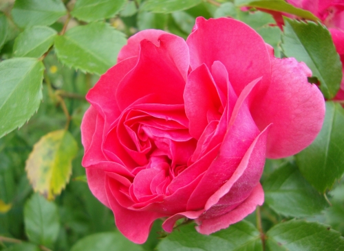 DSC06401.JPG
