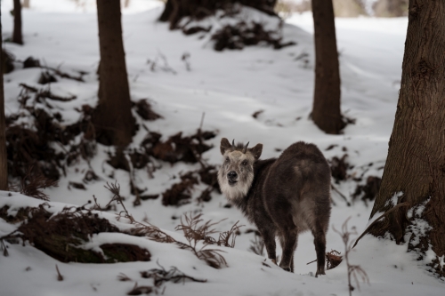 Atsuyuki Ohshima.7.jpg