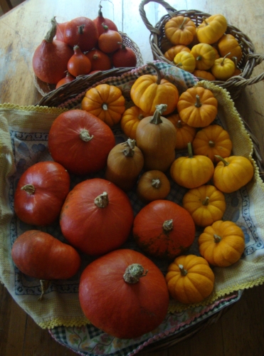 DSC00833small.jpg