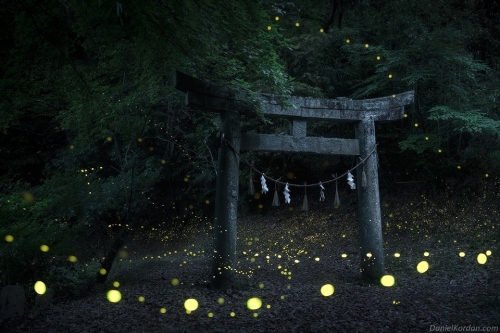 Daniel Kordan île de Kyushu Japon_0n.jpg