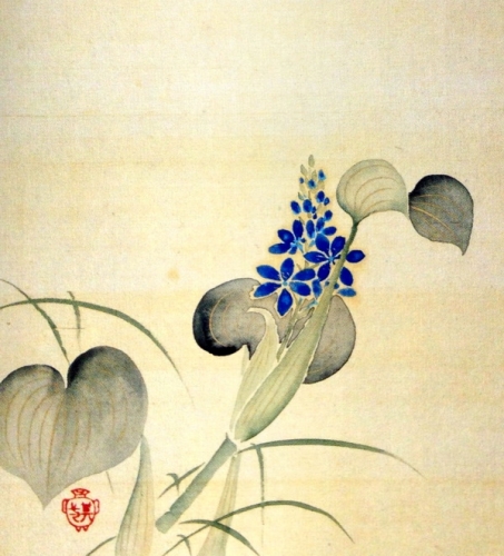 Suzuki Kiitsu Monthly-picture-of-birds-and-flowers_June-83436955.jpg