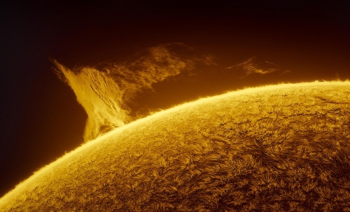 Miguel Claro A Giant in the Sun’s Limb SolarGiantProminence.jpg