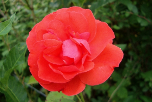 DSC07016.JPG