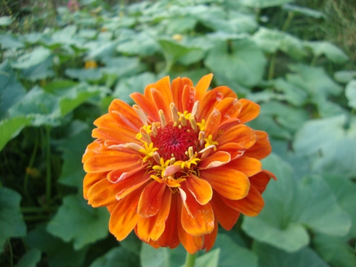 DSC00028.JPG
