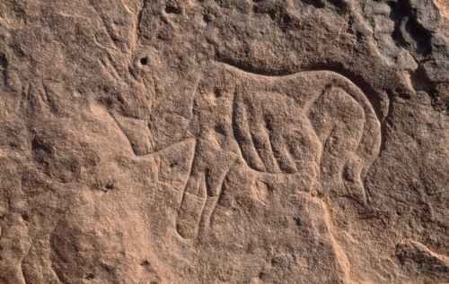 Djaba, Niger. Incised engraving of rhinoceros facing left (Early Hunter Period) Cupules.jpg