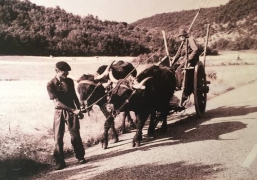 Jean-Louis Nespoulous Les frères Bras, 1975, Arcambal.jpeg