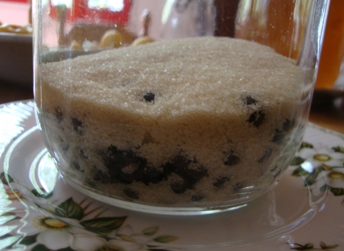 DSC07348.JPG
