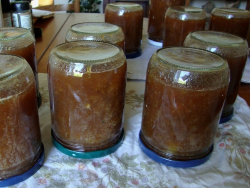 Confitures prunes jaunes épices & citron 10 07 25.jpg