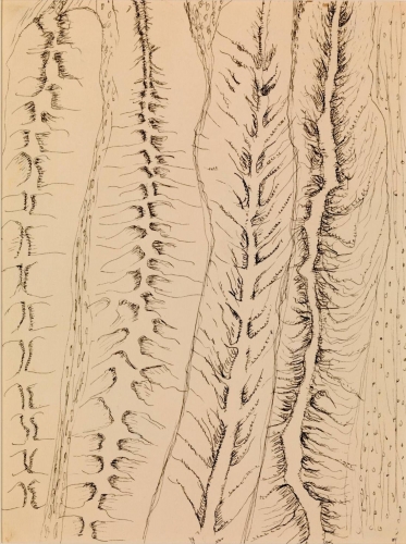 Henri Michaux Mescaline drawings 1956 1958.jpeg