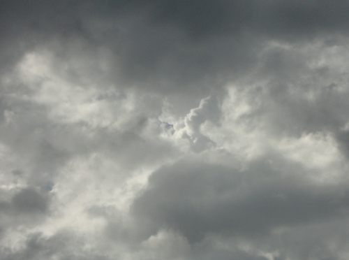 DSC08910.JPG